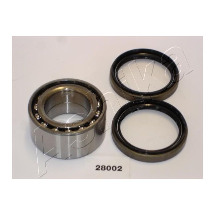 Rato guolio komplektas ASHIKA 44-28002