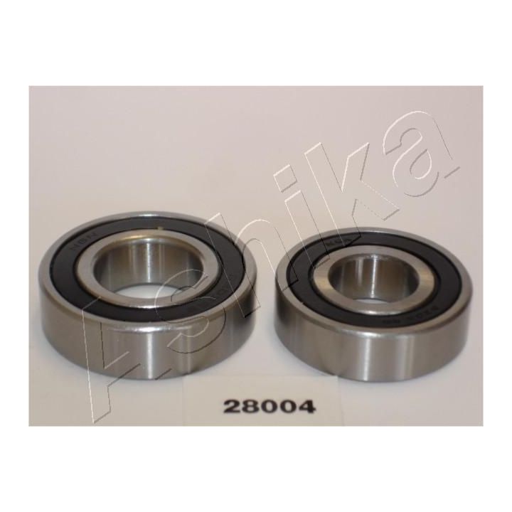 Rato guolio komplektas ASHIKA 44-28004