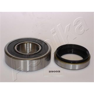 Rato guolio komplektas ASHIKA 44-29002