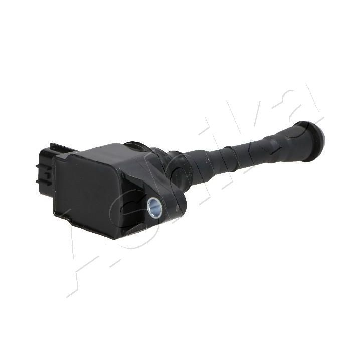 Ritė, uždegimas ASHIKA 78-01-115