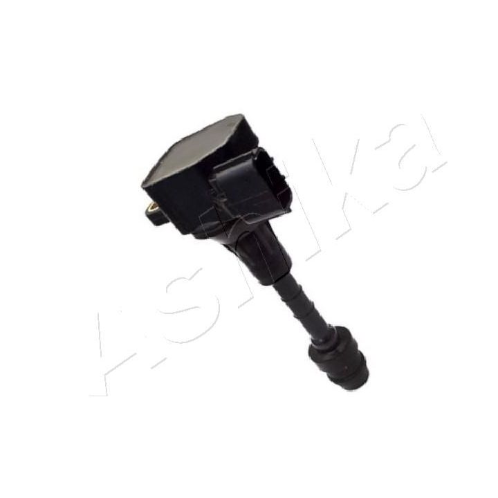 Ritė, uždegimas ASHIKA 78-01-127