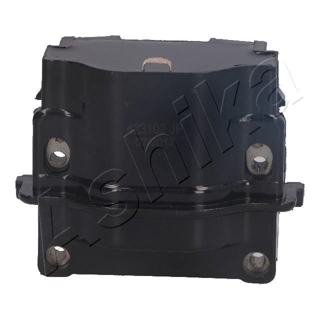 Ritė, uždegimas ASHIKA 78-02-202