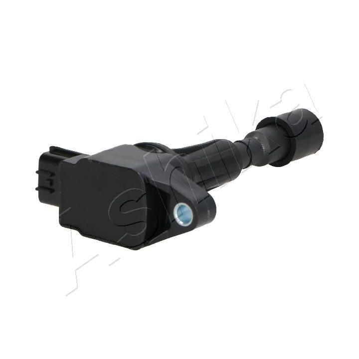 Ritė, uždegimas ASHIKA 78-03-303