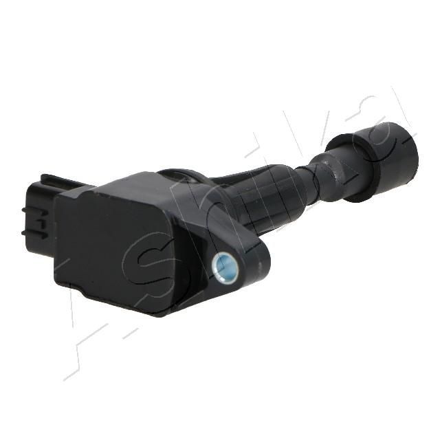 Ritė, uždegimas ASHIKA 78-03-303