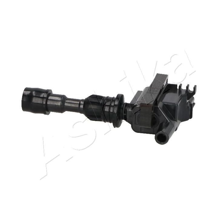 Ritė, uždegimas ASHIKA 78-03-307