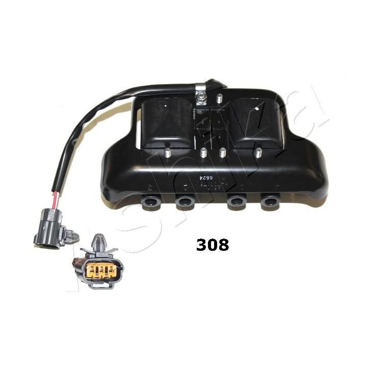 Ritė, uždegimas ASHIKA 78-03-308