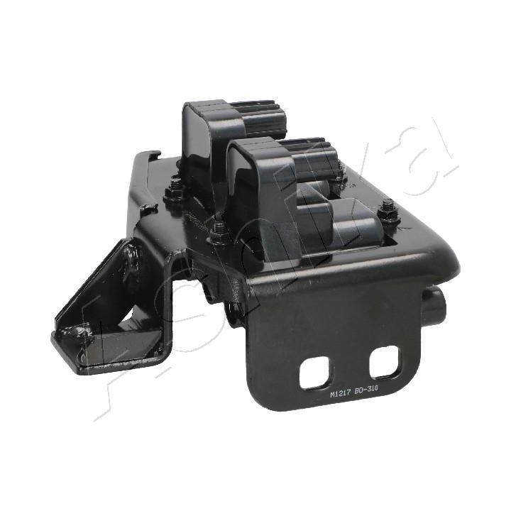 Ritė, uždegimas ASHIKA 78-03-310