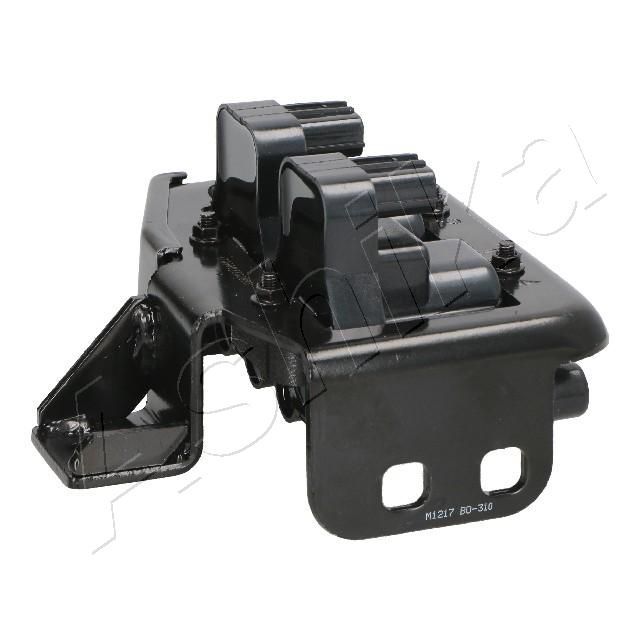 Ritė, uždegimas ASHIKA 78-03-310