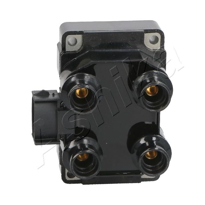 Ritė, uždegimas ASHIKA 78-03-315