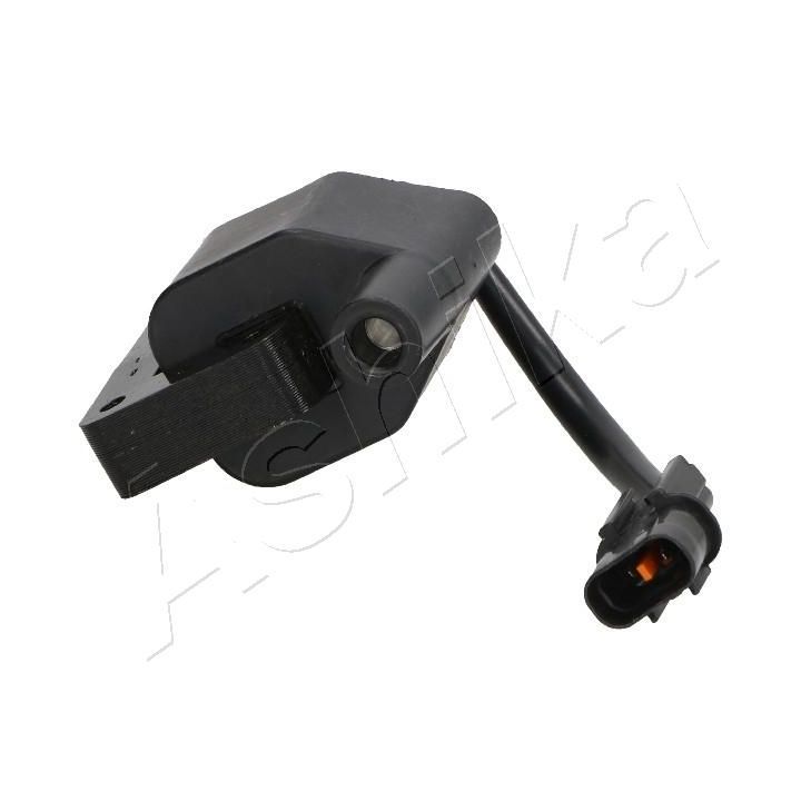 Ritė, uždegimas ASHIKA 78-05-501