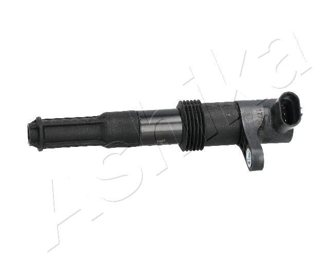 Ritė, uždegimas ASHIKA BO-0205JM