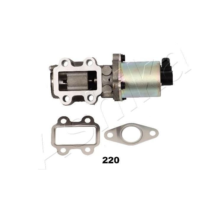 ERG vožtuvas ASHIKA 150-02-220