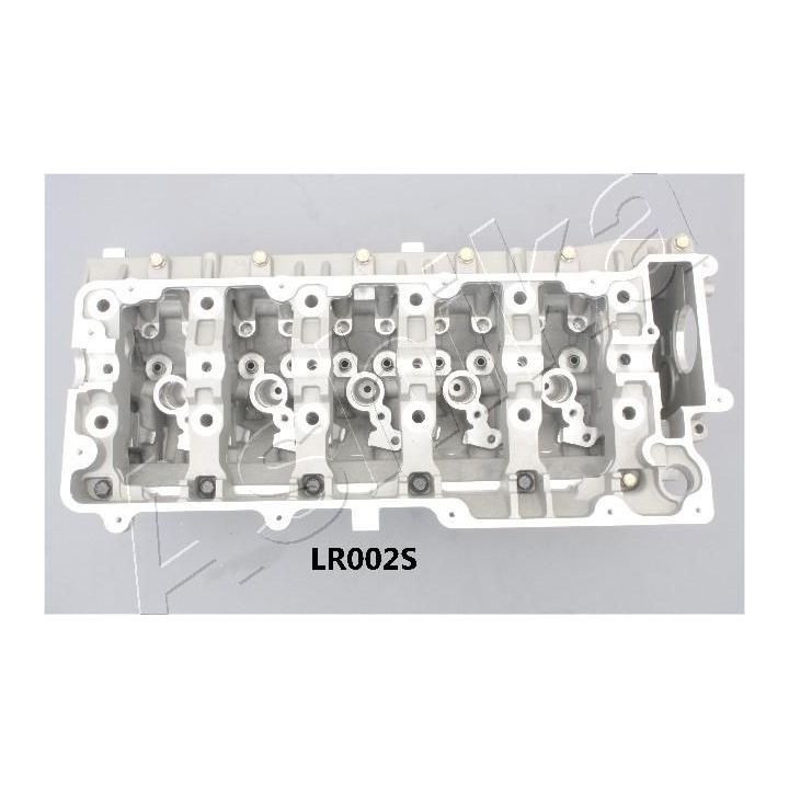 Cilindro galvutė ASHIKA LR002S