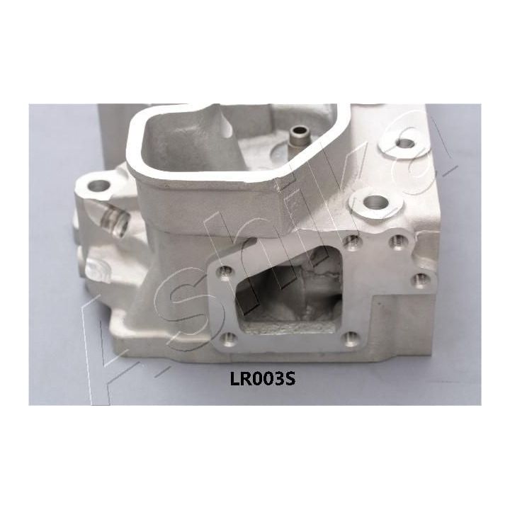 Cilindro galvutė ASHIKA LR003S