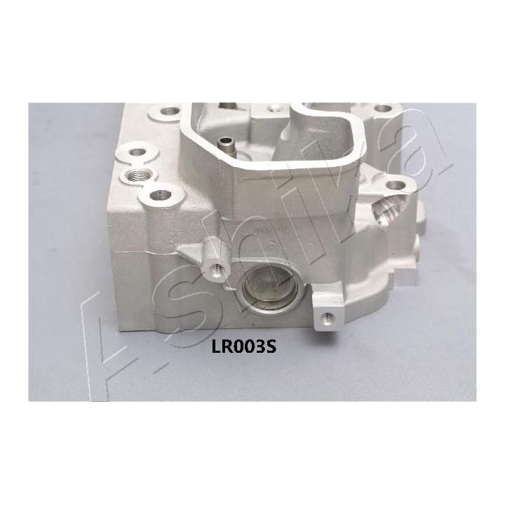 Cilindro galvutė ASHIKA LR003S