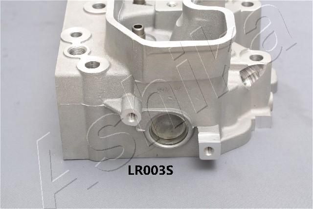 Cilindro galvutė ASHIKA LR003S