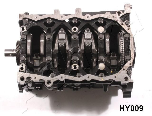 Submontažas ASHIKA HY009