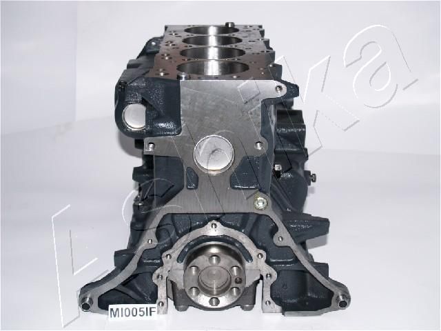 Submontažas ASHIKA MI005IF