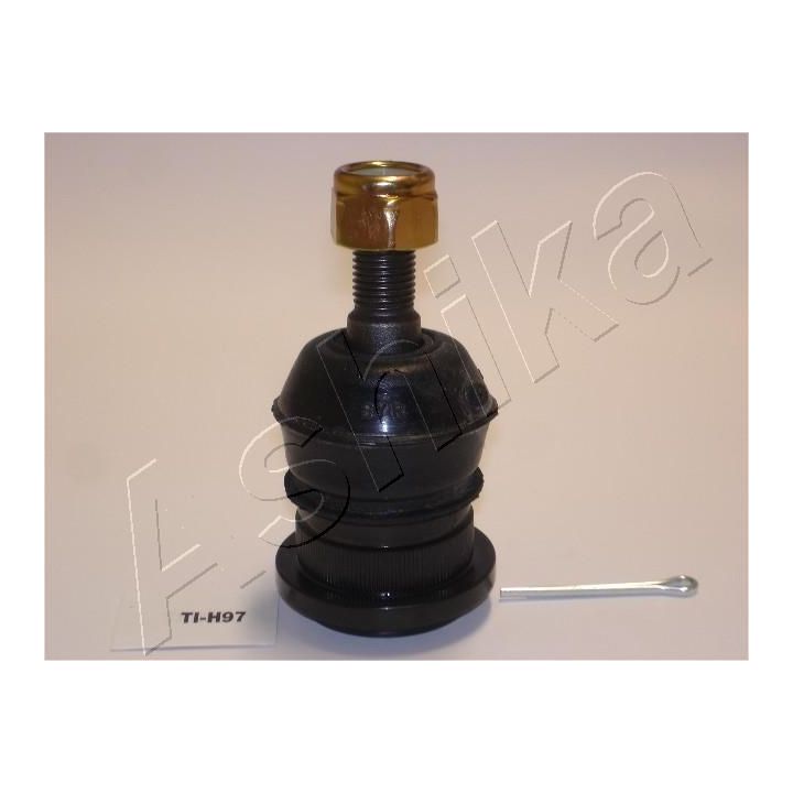 Šarnyras / girgždukas ASHIKA 111-0H-H97