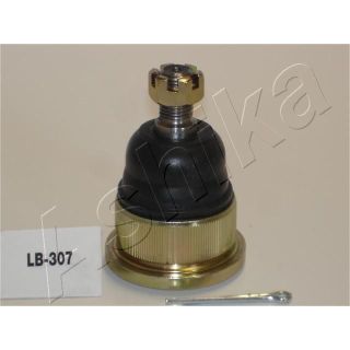 Šarnyras / girgždukas ASHIKA 53-03-307