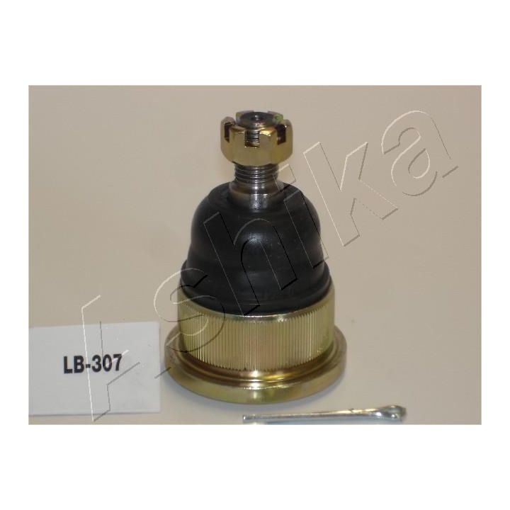 Šarnyras / girgždukas ASHIKA 53-03-307