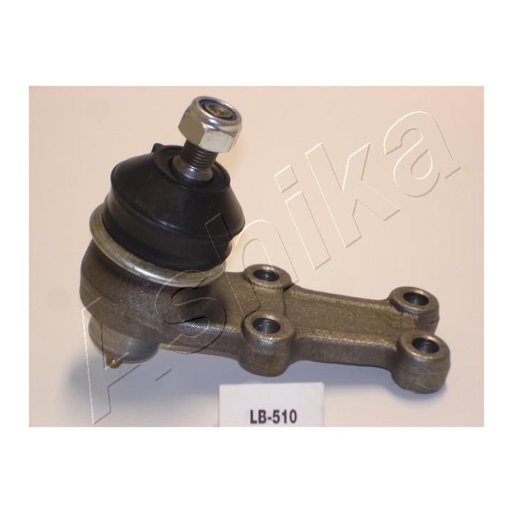 Šarnyras / girgždukas ASHIKA 53-05-510