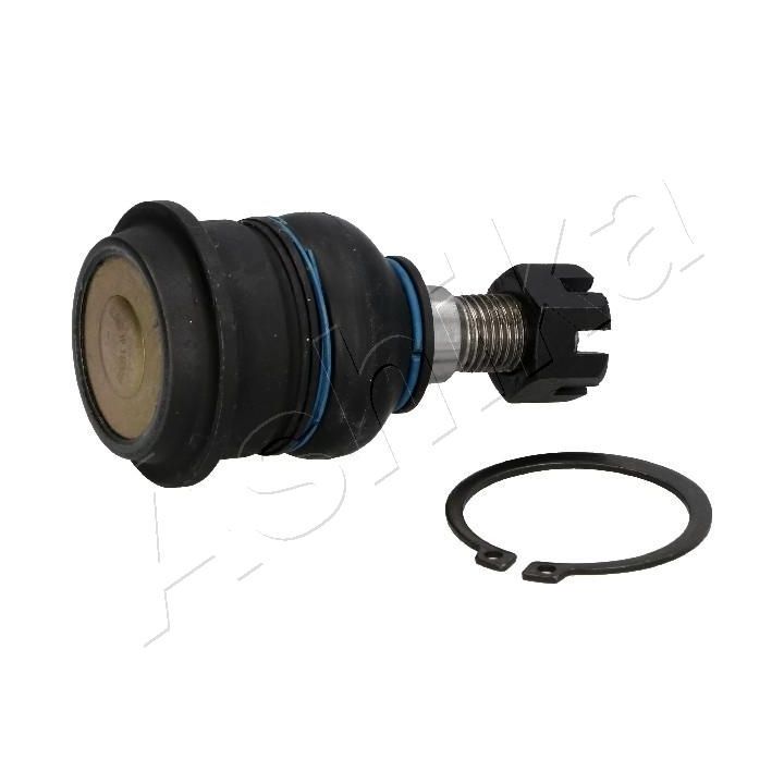 Šarnyras / girgždukas ASHIKA 73-01-138