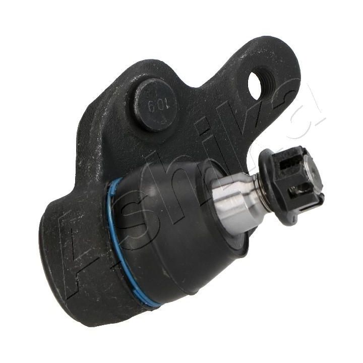 Šarnyras / girgždukas ASHIKA 73-02-208L