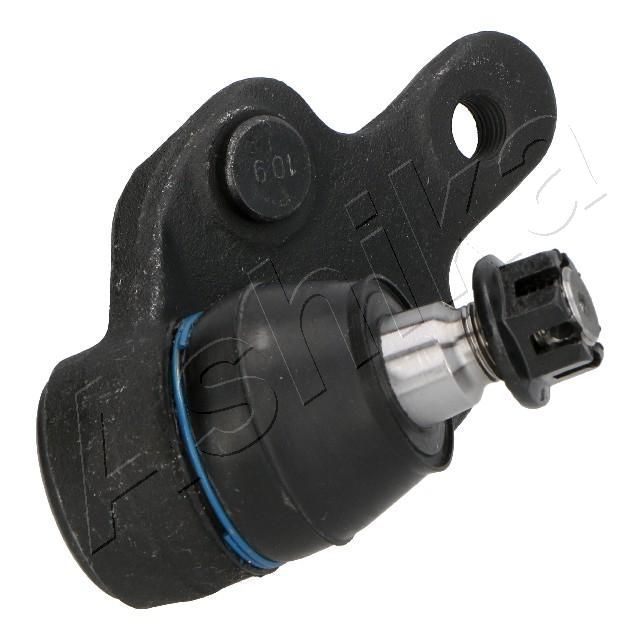 Šarnyras / girgždukas ASHIKA 73-02-208L