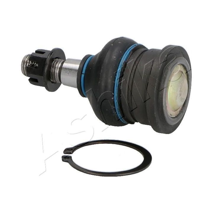 Šarnyras / girgždukas ASHIKA 73-02-215