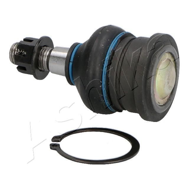 Šarnyras / girgždukas ASHIKA 73-02-215