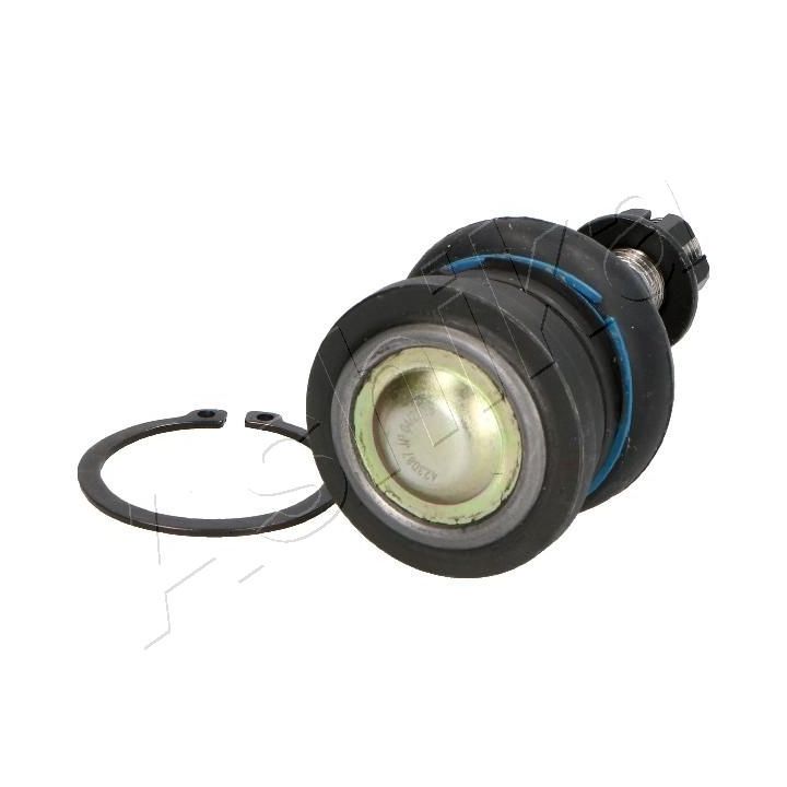 Šarnyras / girgždukas ASHIKA 73-02-215