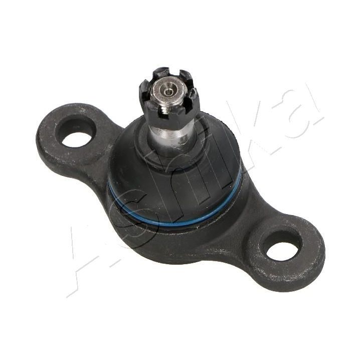 Šarnyras / girgždukas ASHIKA 73-02-224