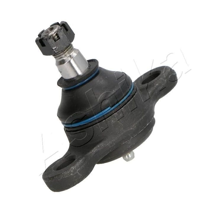 Šarnyras / girgždukas ASHIKA 73-02-224