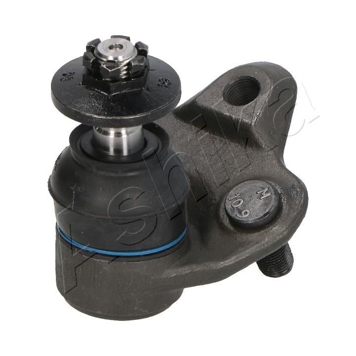 Šarnyras / girgždukas ASHIKA 73-02-249