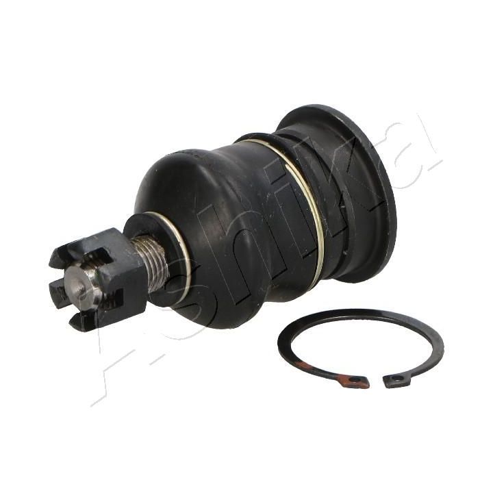 Šarnyras / girgždukas ASHIKA 73-02-251