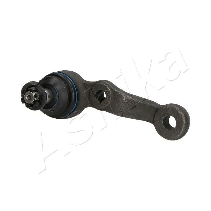 Šarnyras / girgždukas ASHIKA 73-02-252L