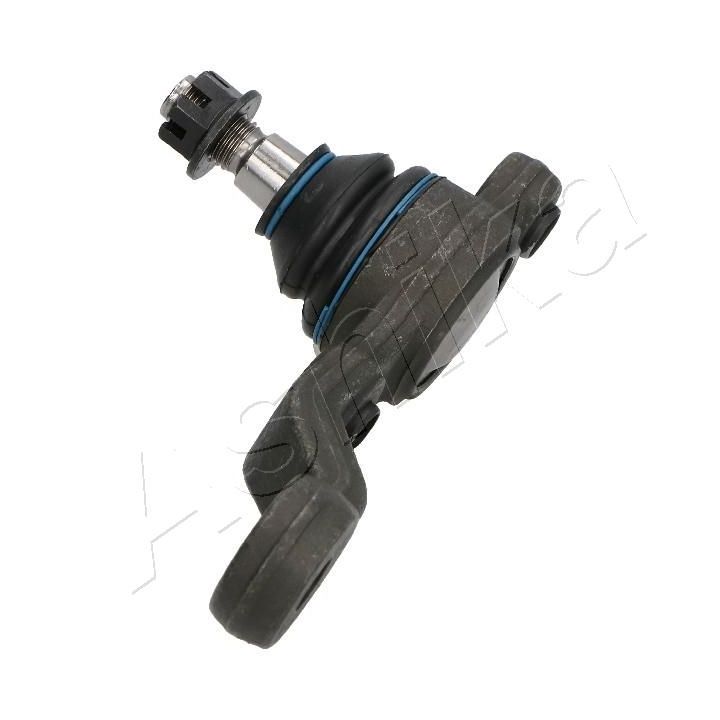 Šarnyras / girgždukas ASHIKA 73-02-252R