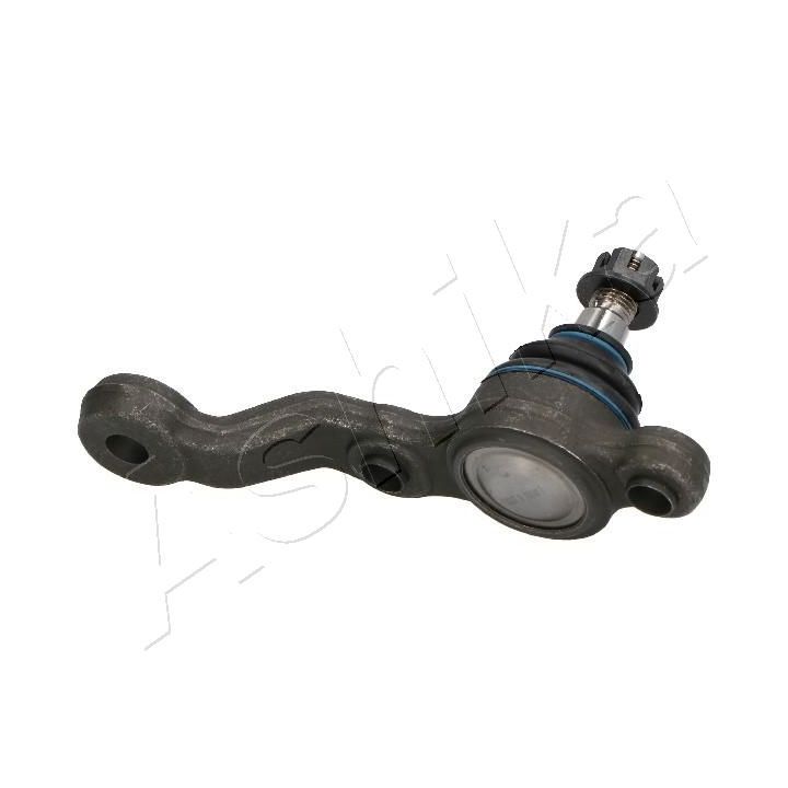 Šarnyras / girgždukas ASHIKA 73-02-252R