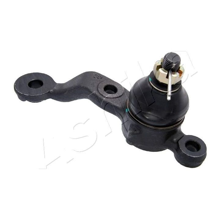 Šarnyras / girgždukas ASHIKA 73-02-256R