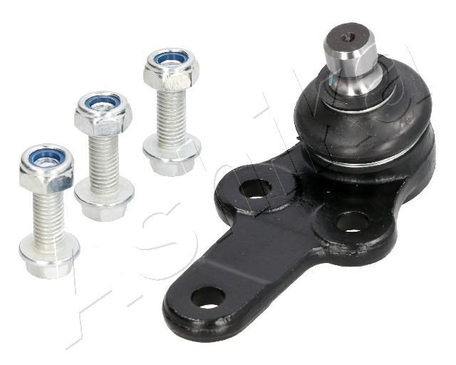 Šarnyras / girgždukas ASHIKA 73-03-300