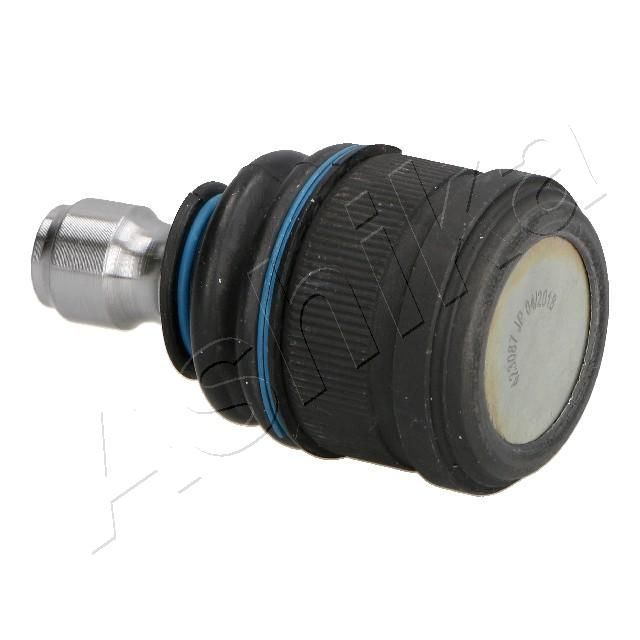 Šarnyras / girgždukas ASHIKA 73-03-317