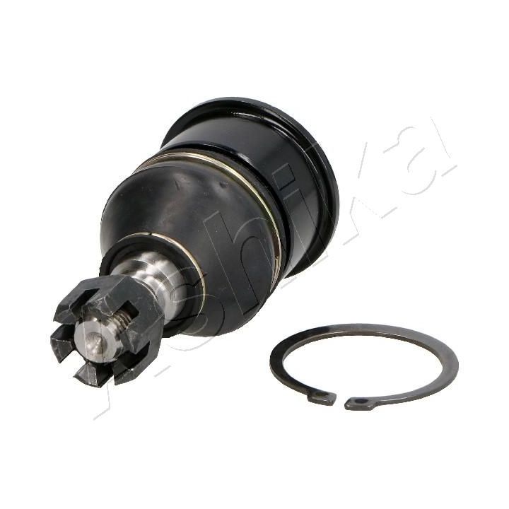 Šarnyras / girgždukas ASHIKA 73-04-499