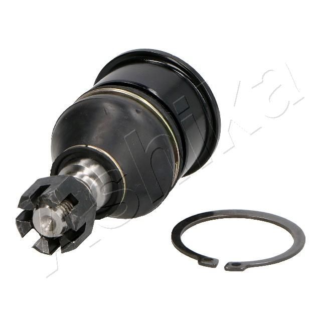 Šarnyras / girgždukas ASHIKA 73-04-499