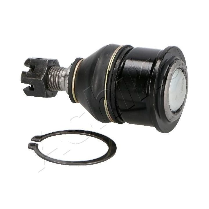 Šarnyras / girgždukas ASHIKA 73-04-499