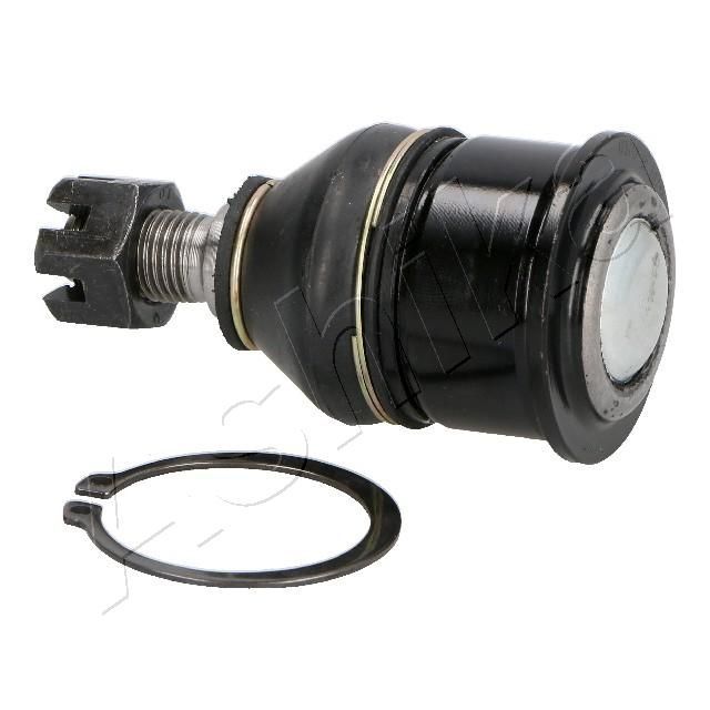 Šarnyras / girgždukas ASHIKA 73-04-499