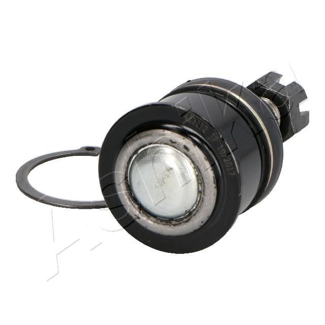 Šarnyras / girgždukas ASHIKA 73-04-499