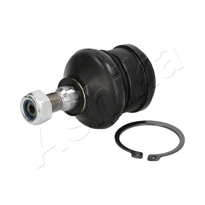 Šarnyras / girgždukas ASHIKA 73-05-502