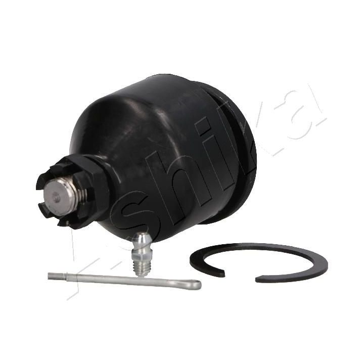 Šarnyras / girgždukas ASHIKA 73-05-508