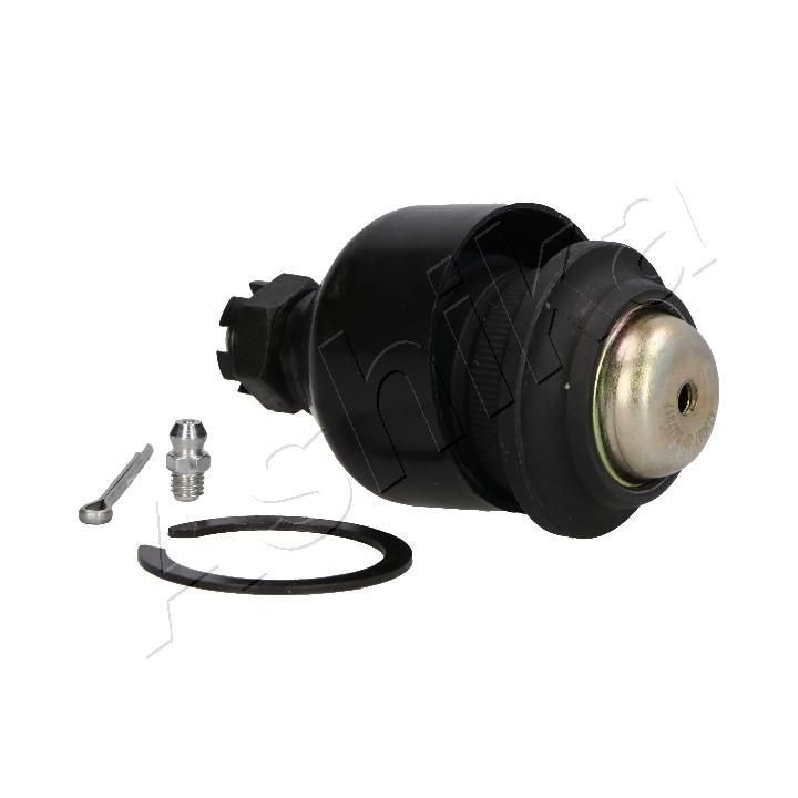 Šarnyras / girgždukas ASHIKA 73-05-508